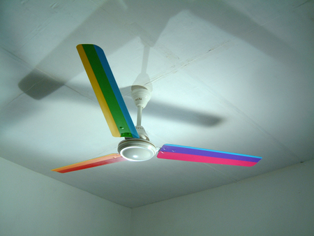 Under the Rainbow, Fan, Colours, 2007