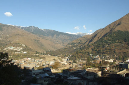 Morning view from the guesthouse