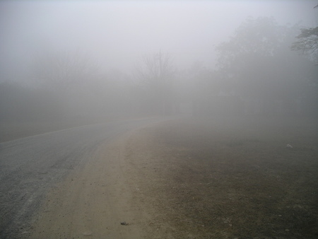 more fog