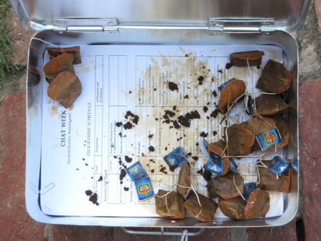 tea bag box.jpg