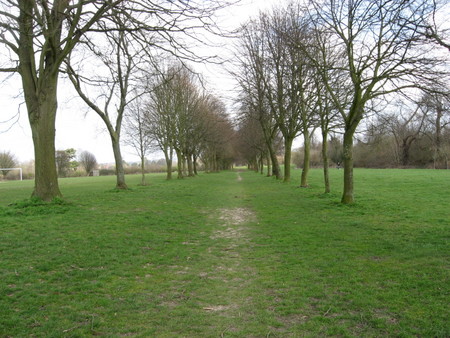 walk to the studio
